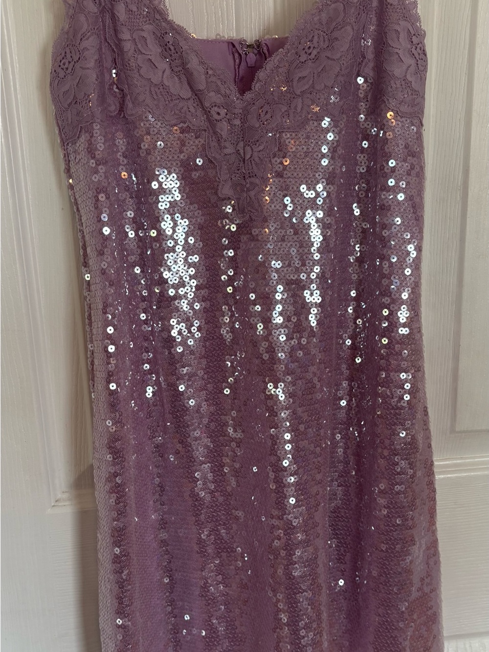 Lace & Sequin Mini Dress in Mauve